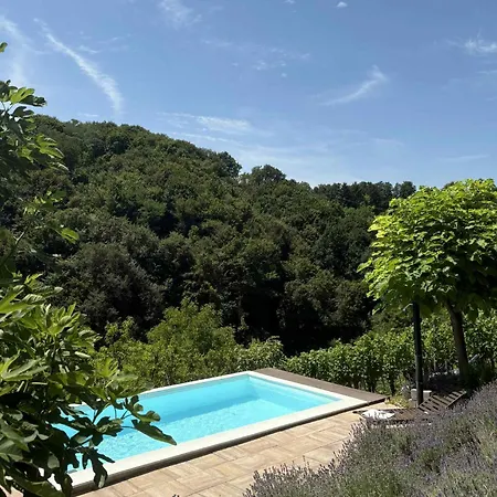 Apartma Lavanda Daire *
