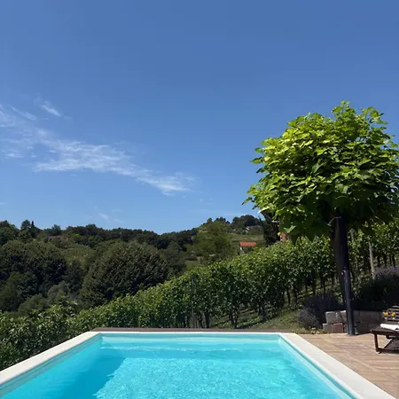 Daire Apartma Lavanda Zavrc